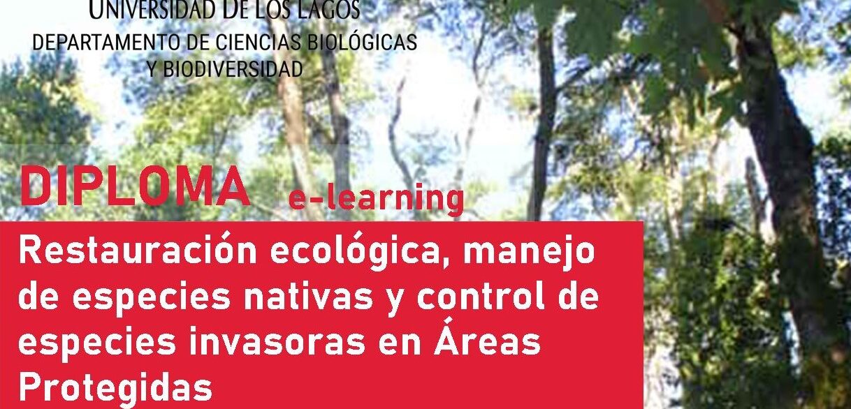 Diploma E-learning