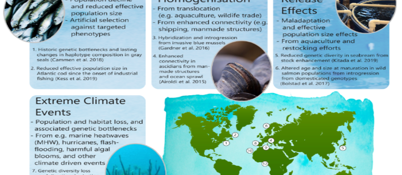Diversidad genética en la Década de las Ciencias Oceánicas de las Naciones Unidas