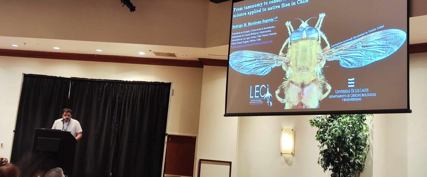 Investigador ULagos expone en Estados Unidos experiencia de trabajo con moscas nativas de Chile