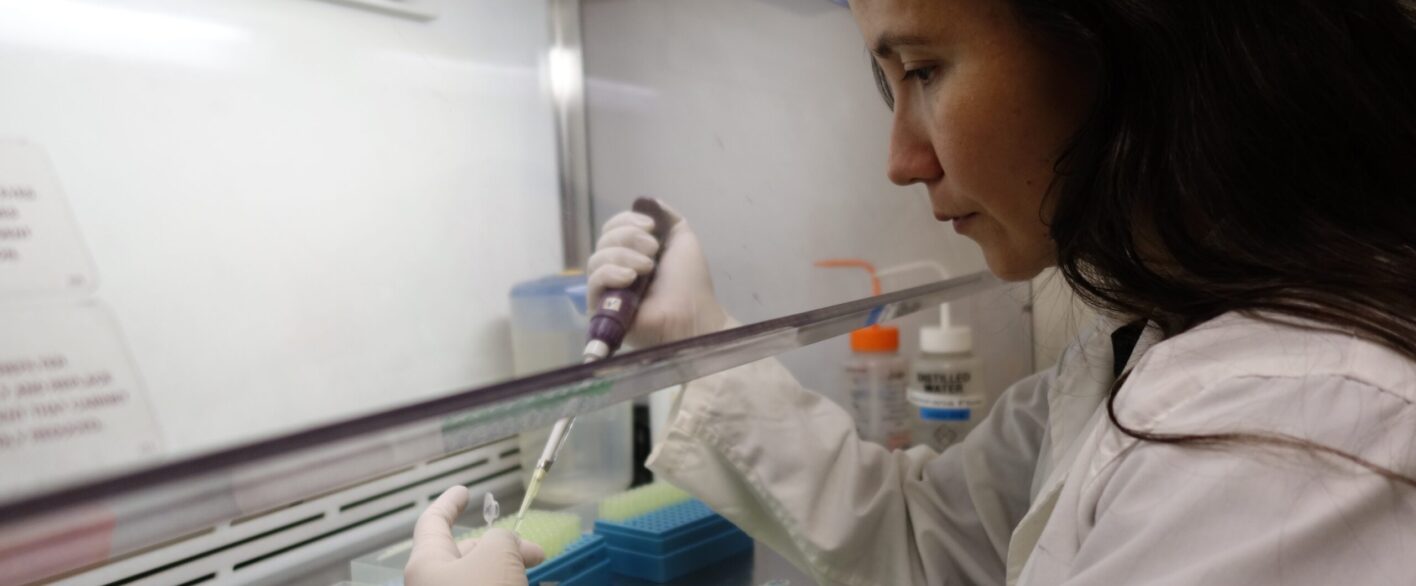 Académica ULagos lidera proyecto de investigación colaborativa con más de 30 profesionales de 20 países